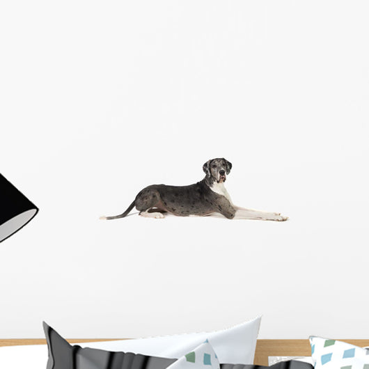 Great Dane Dog Wall Decal