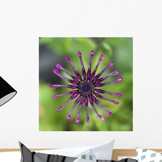 Purple Flower In Bloom Wall Mural
