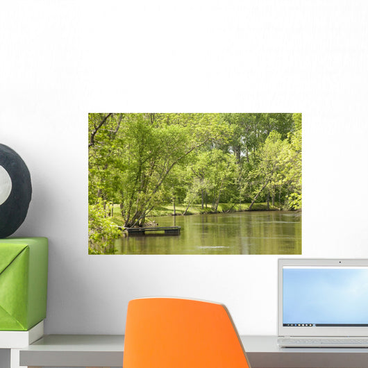 Lake Scenic, Lake Of The Woods, Ontario, Canada Wall Mural