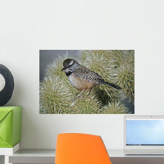 Cactus Wren In Cactus Spines Wall Mural