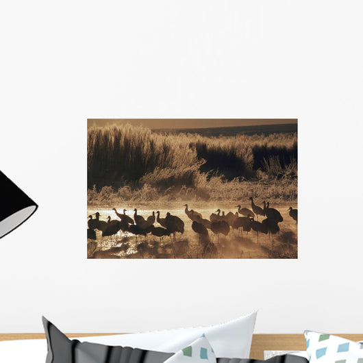 Sandhill Crane Flock On Pond Wall Mural