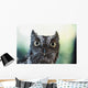 Eastern Screech Owl Portrait Showing Large Eyes Wall Mural