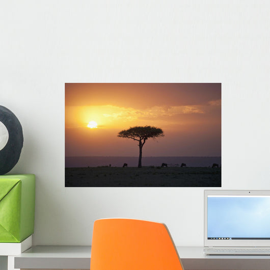 Acacia Trees At Sunset, Mara River, Maasai Mara, Kenya, Africa Wall Mural