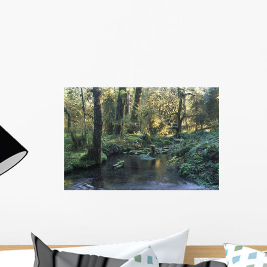 Pool In Temperate Rainforest Stream Wall Mural
