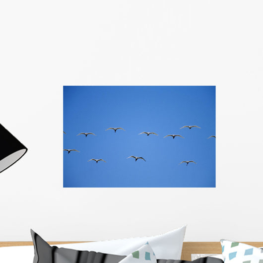 Cattle Egrets Flying In Open Flock Wall Mural