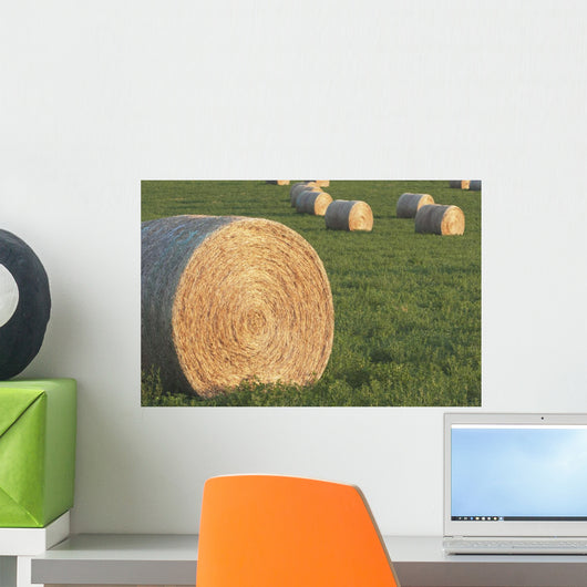 Hay Bales In Green Alfalfa Field, Alberta, Canada Wall Mural