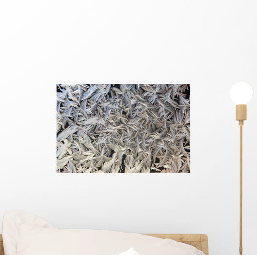 Frost Pattern On Window, Calgary, Alberta, Canada Wall Mural