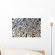 Frost Pattern On Window, Calgary, Alberta, Canada Wall Mural