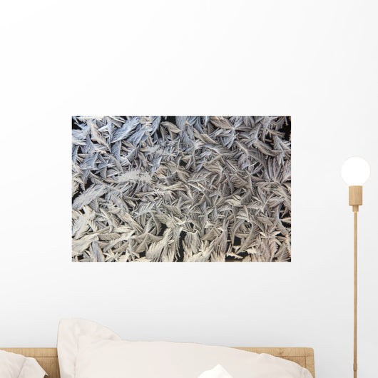 Frost Pattern On Window, Calgary, Alberta, Canada Wall Mural