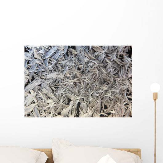 Frost Pattern On Window, Calgary, Alberta, Canada Wall Mural