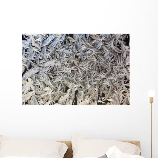 Frost Pattern On Window, Calgary, Alberta, Canada Wall Mural