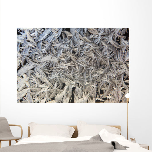 Frost Pattern On Window, Calgary, Alberta, Canada Wall Mural