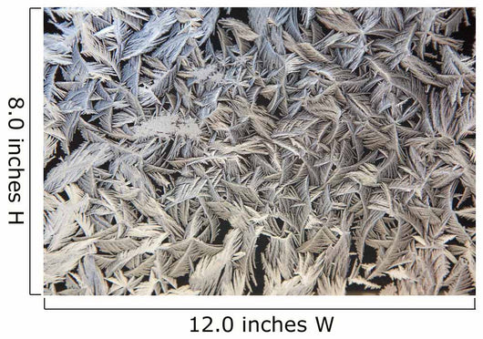 Frost Pattern On Window, Calgary, Alberta, Canada Wall Mural