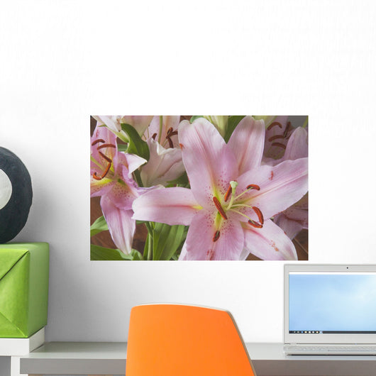 Asiatic Lily Wall Mural
