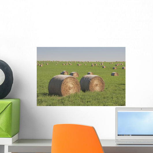 Hay Bales In A Green Alfalfa Field Wall Mural