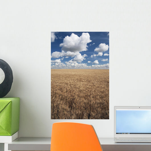Wheat Field And Clouds In The Sky Wall Mural