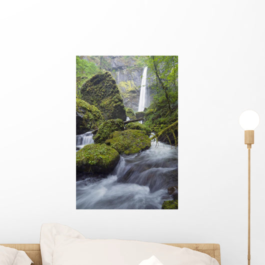 Elowah Falls, Columbia River Gorge, Oregon, Usa Wall Mural