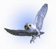 snowy owl Wall Decal