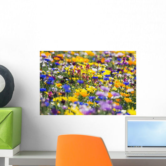 Wildflowers, Mount Hood, Oregon, Usa Wall Mural