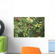 Spider Web Wall Mural