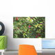 Spider Web Wall Mural