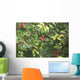 Spider Web Wall Mural