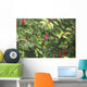 Spider Web Wall Mural