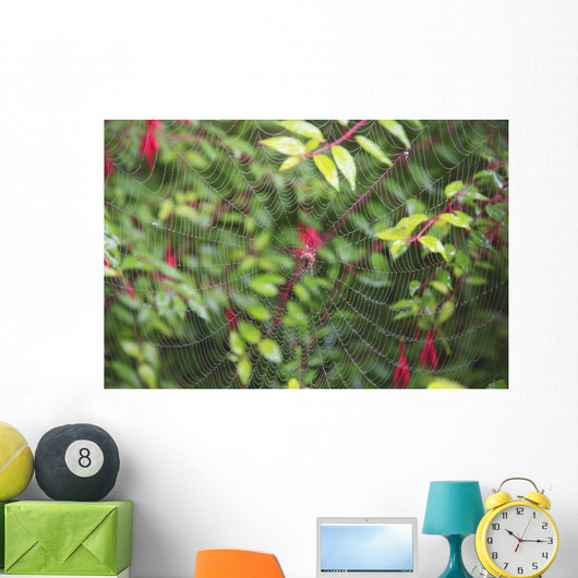Spider Web Wall Mural