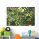 Spider Web Wall Mural