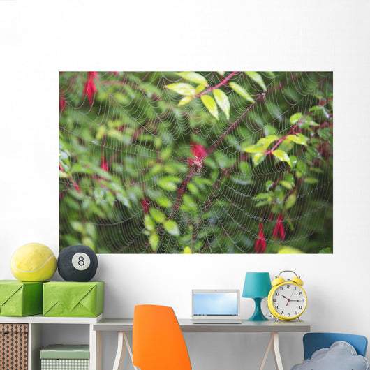 Spider Web Wall Mural