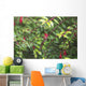 Spider Web Wall Mural