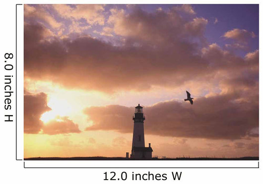 Oregon Of America Wall Mural