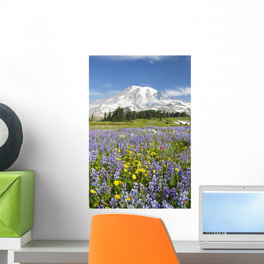 Mount Rainier National Park, Washington Of America Wall Mural