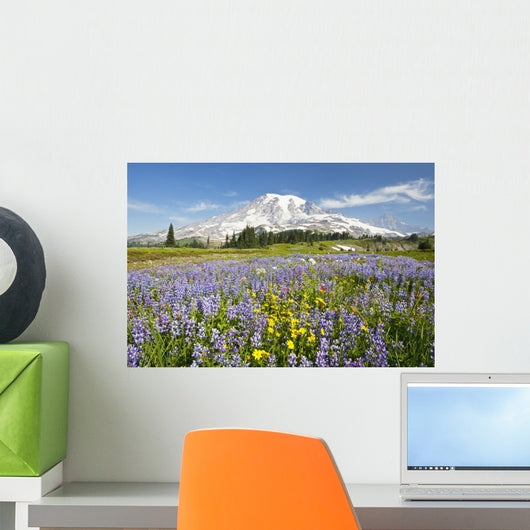 Wildflowers In Paradise Park With Mount Rainier In The Background Wall Mural