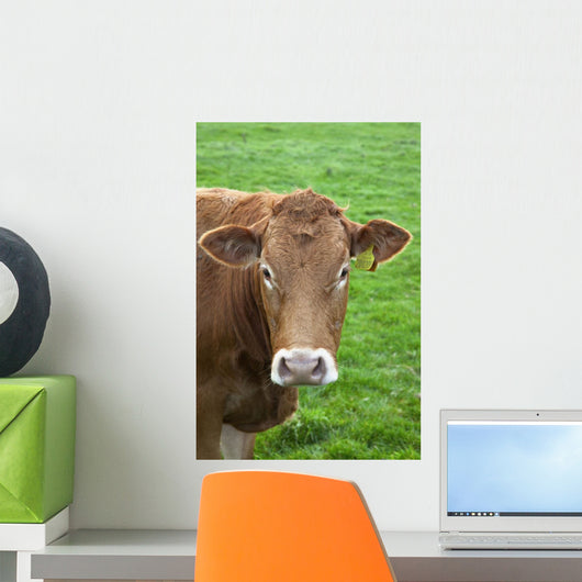 A Cow Wall Mural