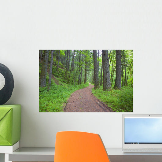Columbia River Gorge National Scenic Area, Oregon Of America Wall Mural