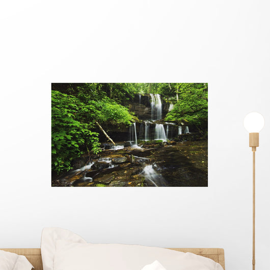 North Carolina Of America Wall Mural