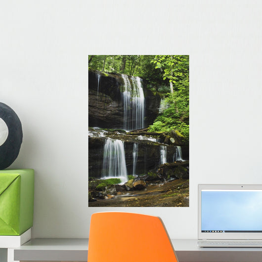 North Carolina Of America Wall Mural