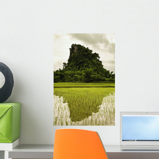 A Rice Field In Asia Wall Mural