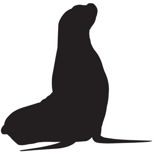 Pinniped Silhouette Sea Lion Wall Decal