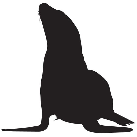 Pinniped Sea Lion Seal Wall Decal