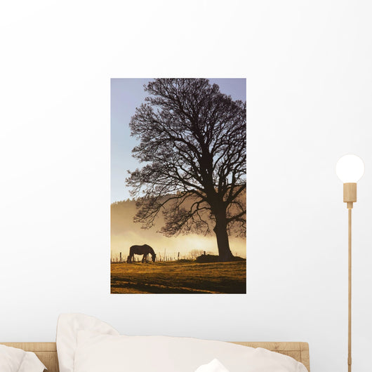 Northumberland, England Wall Mural