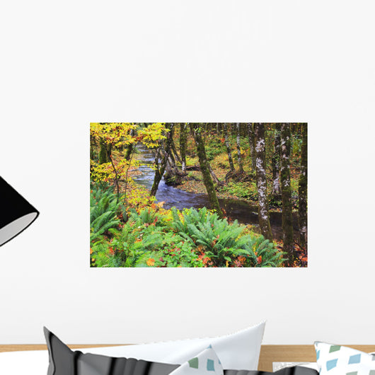 Oregon Coast Range, Oregon Of America Wall Mural