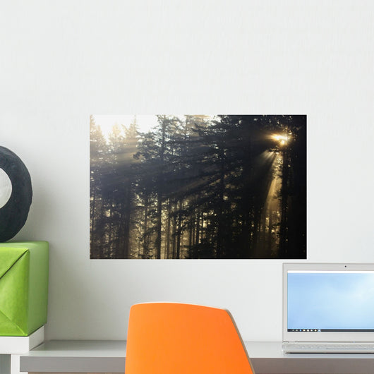 Oregon Cascades, Oregon Of America Wall Mural