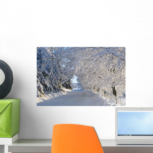 Trees Lining The Road In Winter Wall Mural