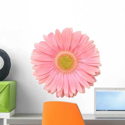 Pink Gerbera Flower Wall Decal