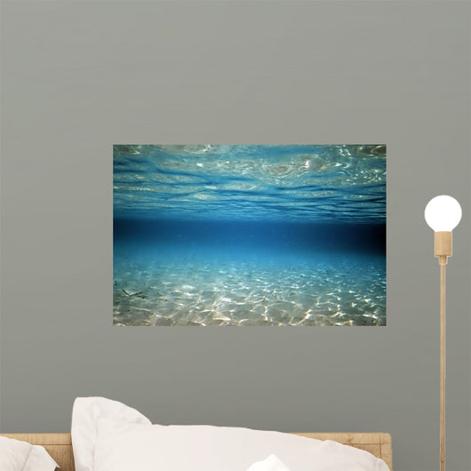 Surface Reflex Wall Mural