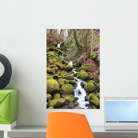 Happy Valley, Oregon Of America Wall Mural
