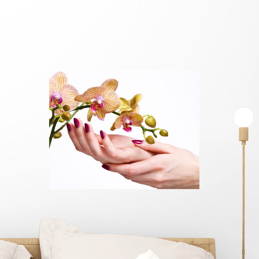 Woman Hands with Pink
