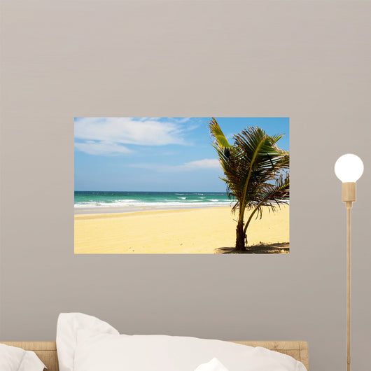 Carribean Beach with Palm